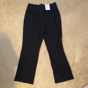 Bootcut Knit Stretch Pant